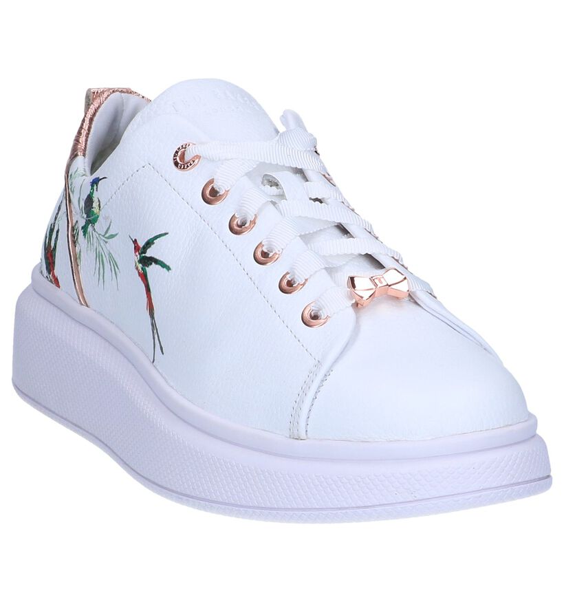 Witte Sneakers Ted Baker Ailbe 4 in leer (241709)