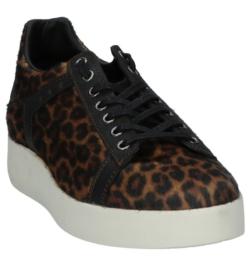 Bruine Sneakers Pantofola d'Oro Lecce Leopard Donne Low in leer (227336)