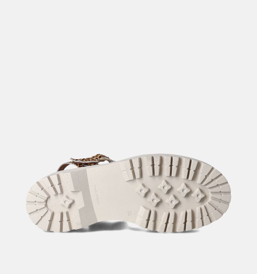 Sweet Lemon L.62.Nacere Sandales en Brun pour femmes (361382)