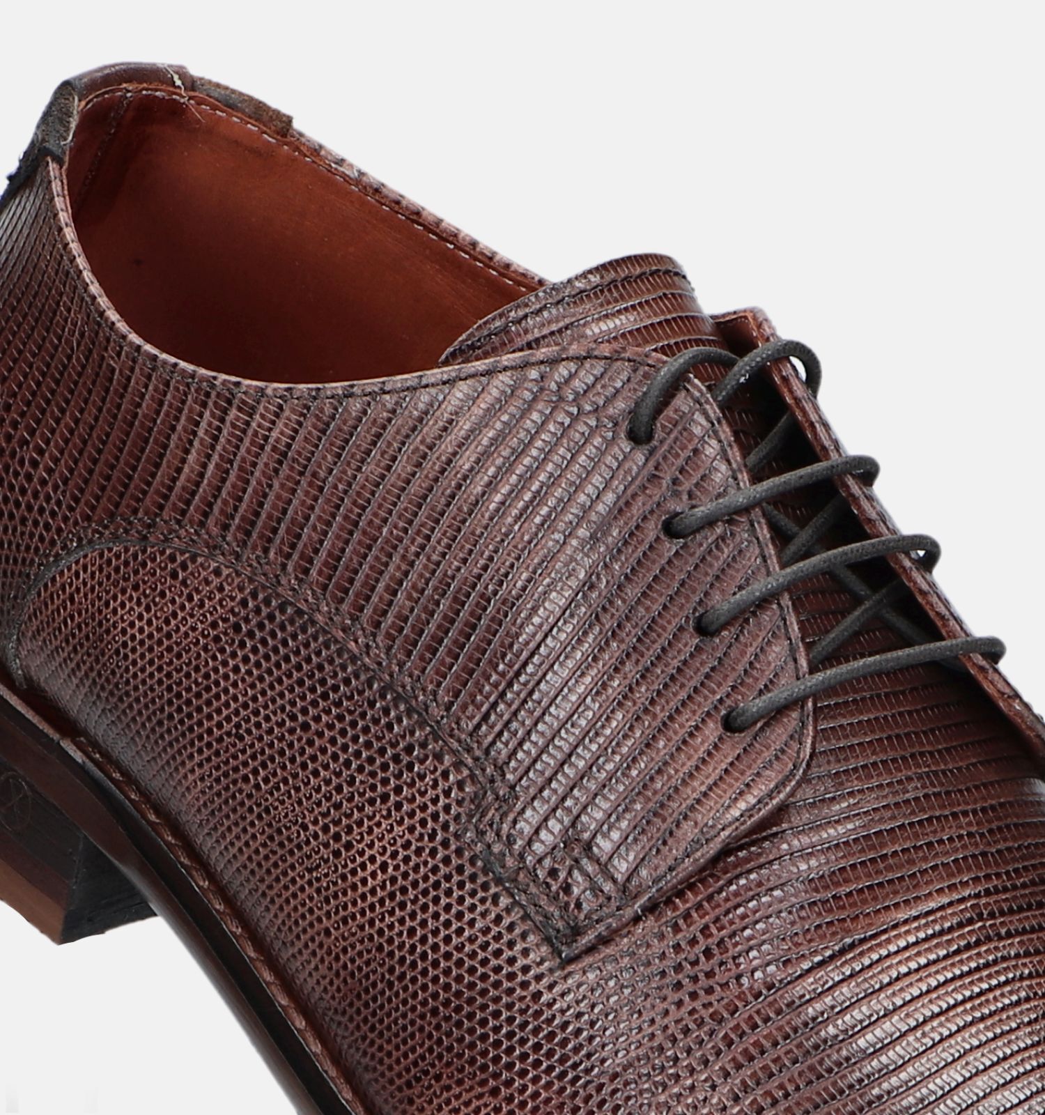 Ambiorix Jurassic Chaussures a lacets en Brun Hommes Chaussures classiques en ligne sur TORFS.BE