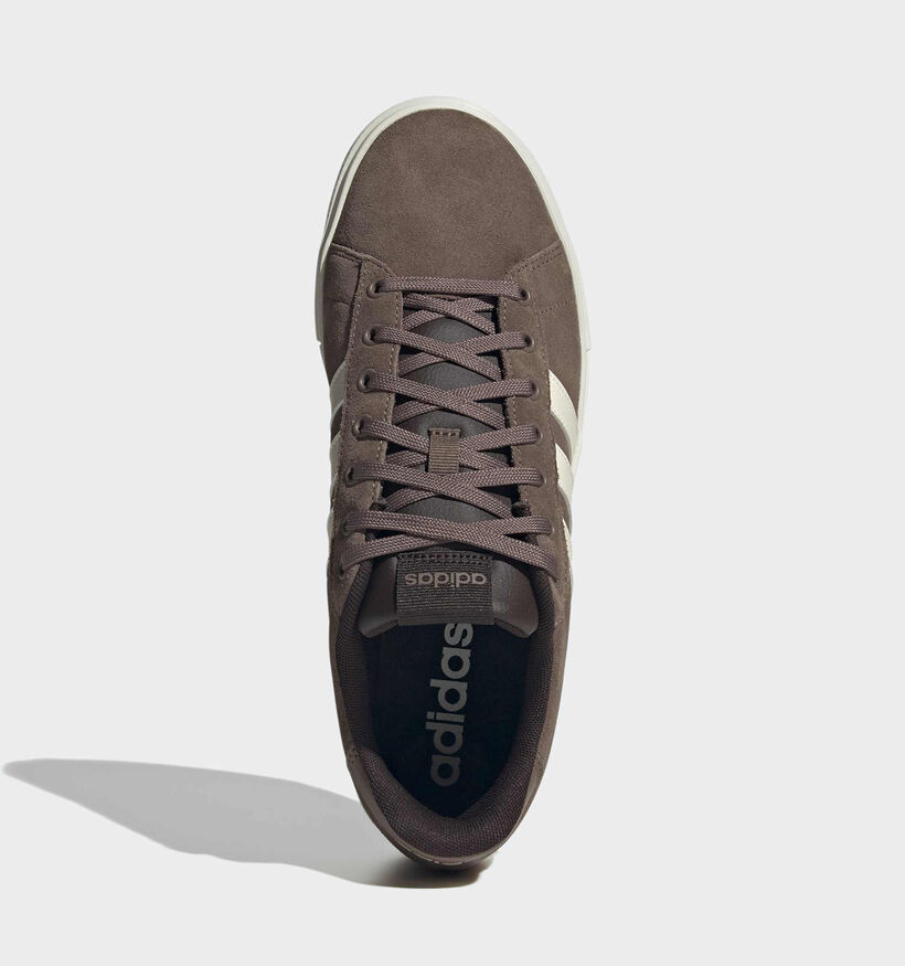 adidas Daily 4.0 Baskets basses en Marron pour hommes (366872)