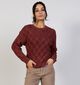 Vero Moda Denia Bordeaux Trui voor dames (366411)