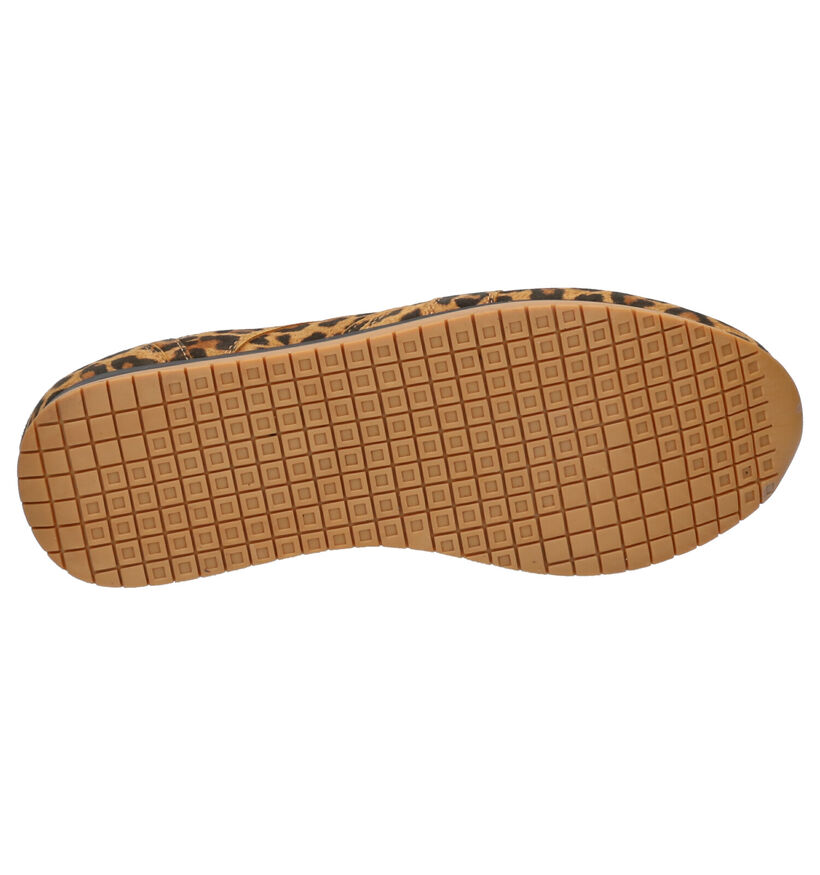 Helioform Chaussures plates en Cognac en nubuck (262411)