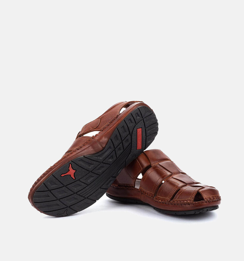 Pikolinos Tarifa Sandales en Cognac pour hommes (355433)