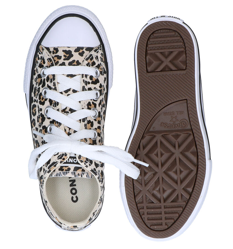 Converse Chuck Taylor AS Leopard Baskets en Beige en textile (286184)