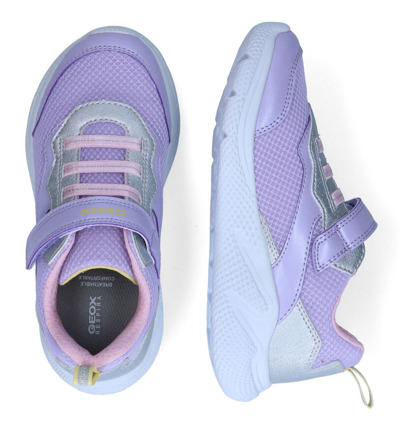 Geox Sprintye Baskets en Violet en synthétique (311010)