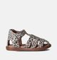 Westlake Baby Sandalen Bruin voor meisjes (356669)
