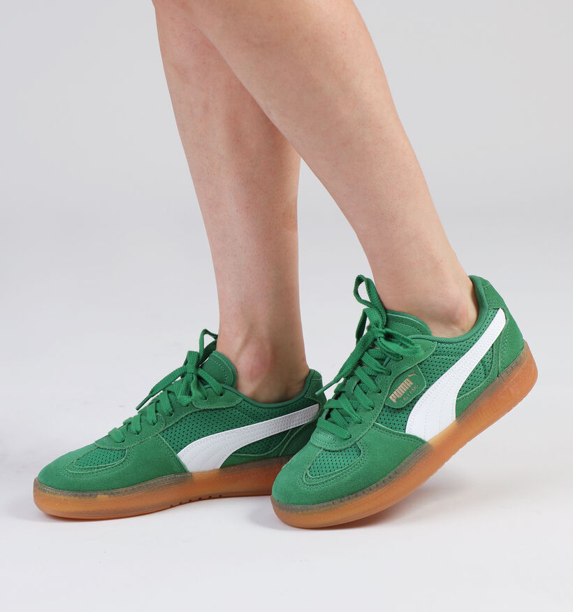 Puma Palermo Moda Vintage Baskets en Vert pour femmes (345379)