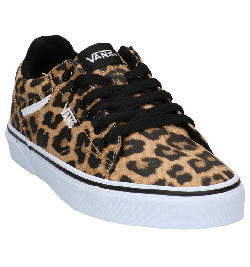 Vans Seldan Baskets en Brun en simili cuir (277597)