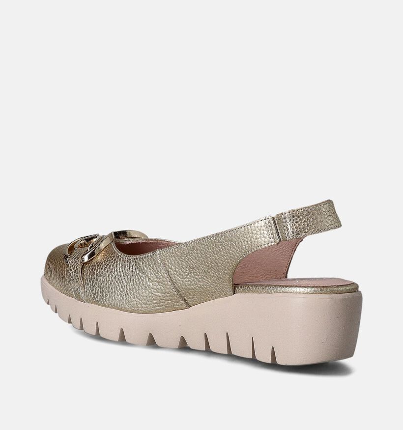 Wonders Gouden Pumps met sleehak voor dames (357829)