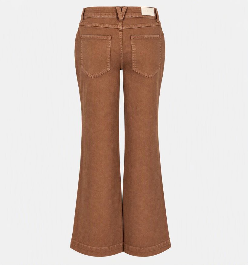 Desires Florence Pantalon classique en Brun fonc&eacute; pour femmes (379182)