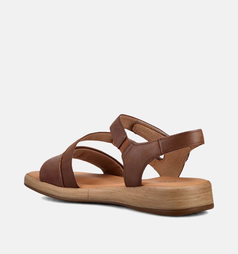 Gabor Sandales en Marron pour femmes (371164)