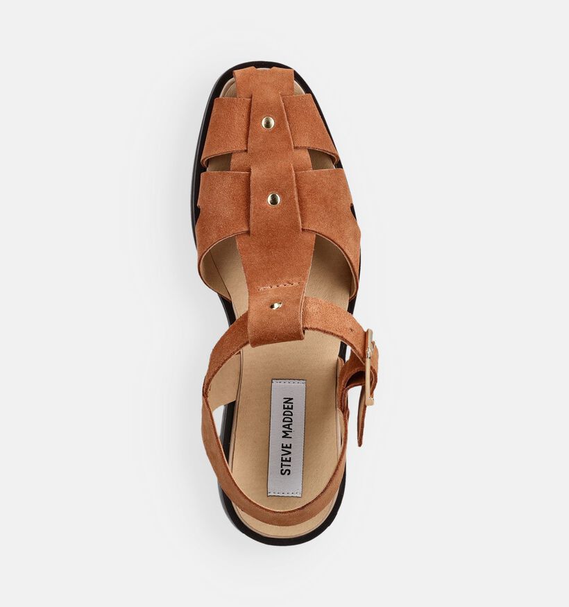 Steve Madden Nado Sandales plates en Cognac pour femmes (372101)