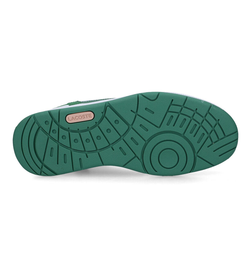 Lacoste T-Clip Baskets en Vert pour femmes (322614)