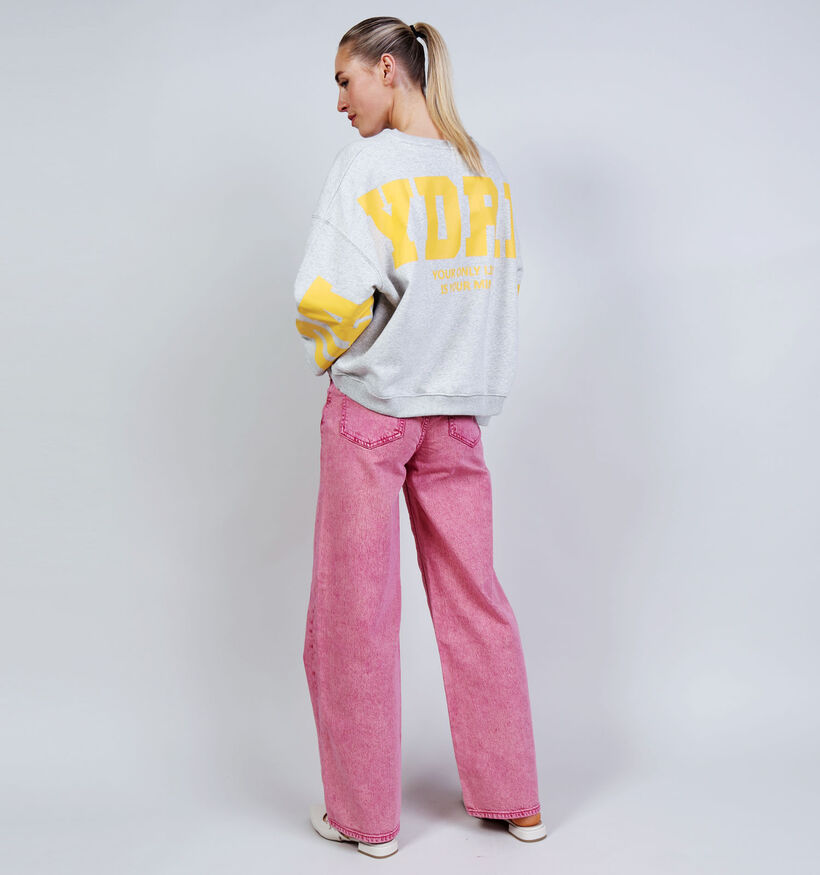 The Shirt Project Sweater Daydream Sweatshirt en Gris pour femmes (374341)