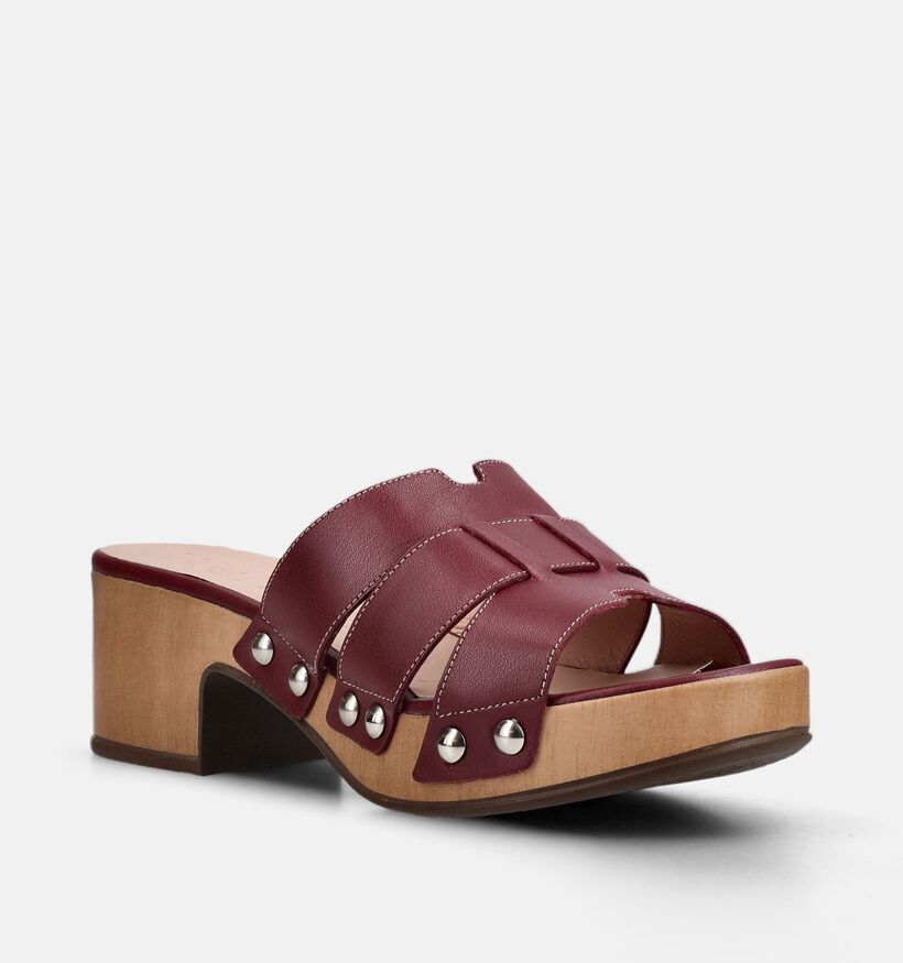 Wonders Tokat Vino Bordeaux Muiltjes voor dames (373123)