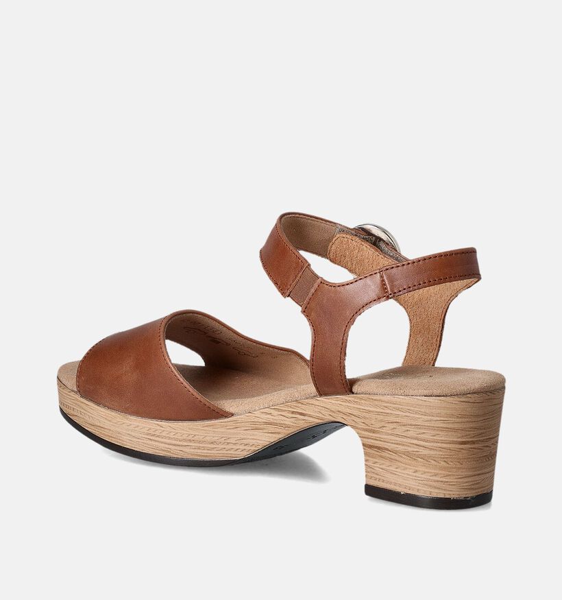 Gabor Cognac Sandalen met blokhak voor dames (355105)