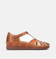 Pikolinos Cadaques Sandales en Cognac pour femmes (354664)