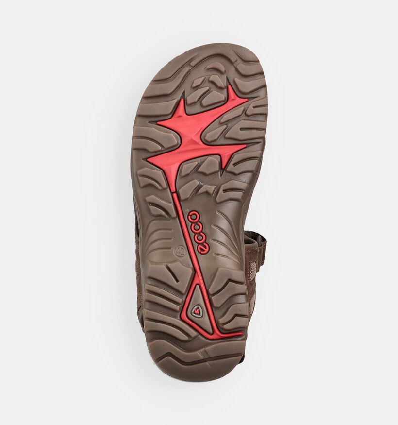ECCO Offroad Yucatan Bruine Sandalen voor heren (369739)