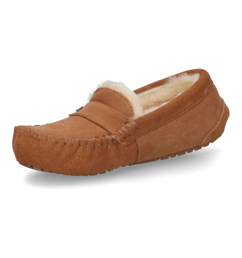 Warmbat Nowra Cognac Pantoffels voor dames (315167)