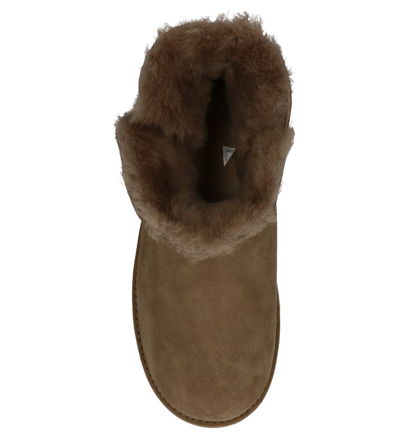 Taupe Boots UGG Classic in daim (223460)