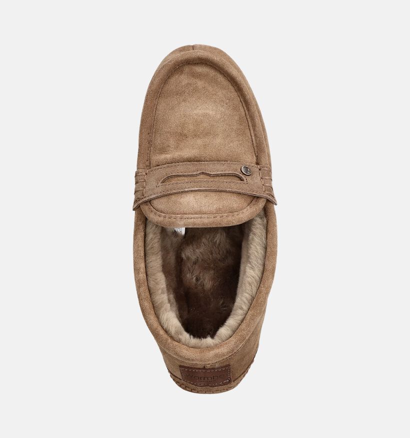 Warmbat Morwell Pantoufles ferm&eacute;es en Marron pour hommes (379316)