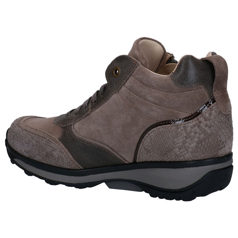 Xsensible Laviano Taupe Bottines in leer (284943)