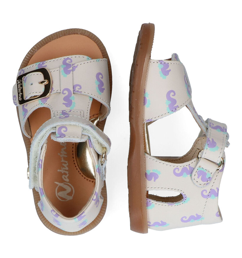 Naturino Quarzo Roze Sandalen voor meisjes (324781)