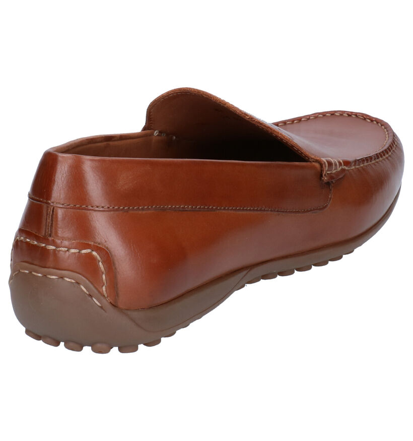 Ambiorix Corsica Mocassins en Cognac pour hommes (324848)