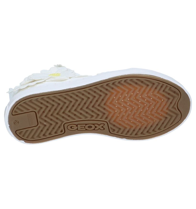 Geox Chaussures hautes en Blanc en textile (237960)