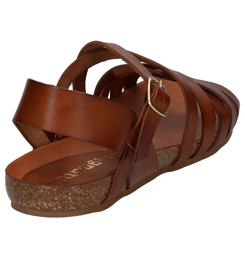 Signatur Cognac Sandalen voor dames (319778)