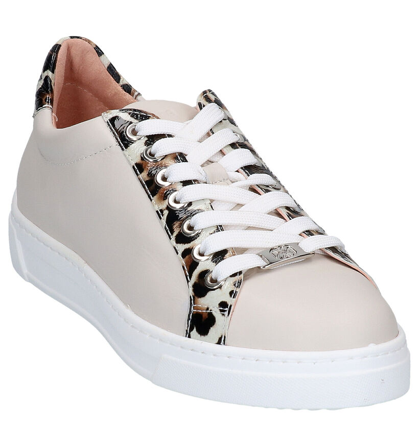 Unisa Franci Chaussures à lacets en Brun en cuir (274906)