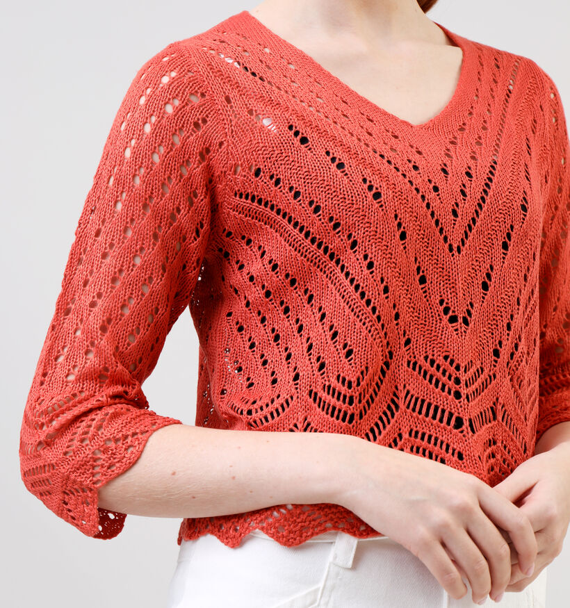 JDY New Sun Zwarte Cropped Trui voor dames (341111)