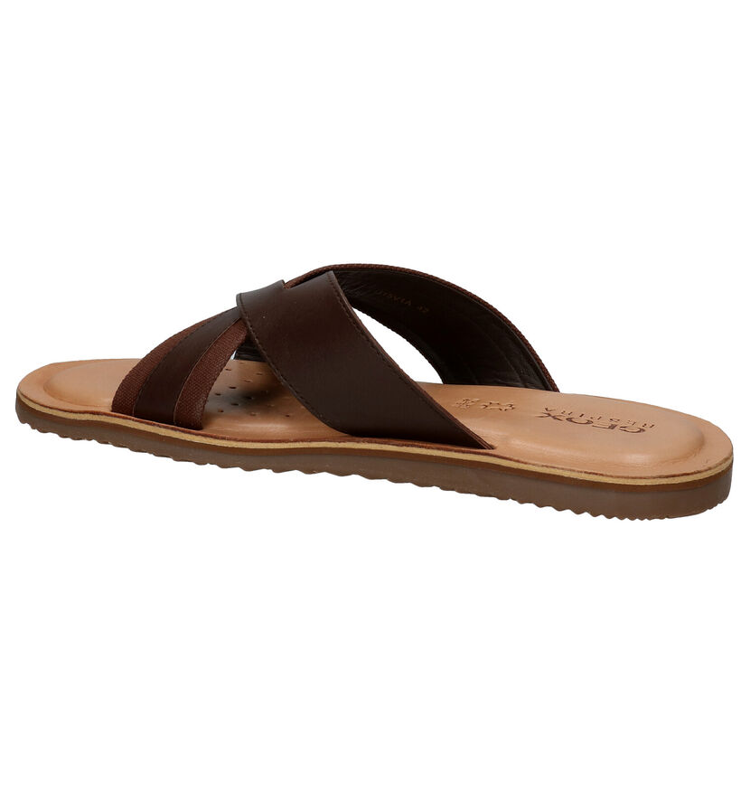 Geox Artie Blauwe Slippers voor heren (285537)