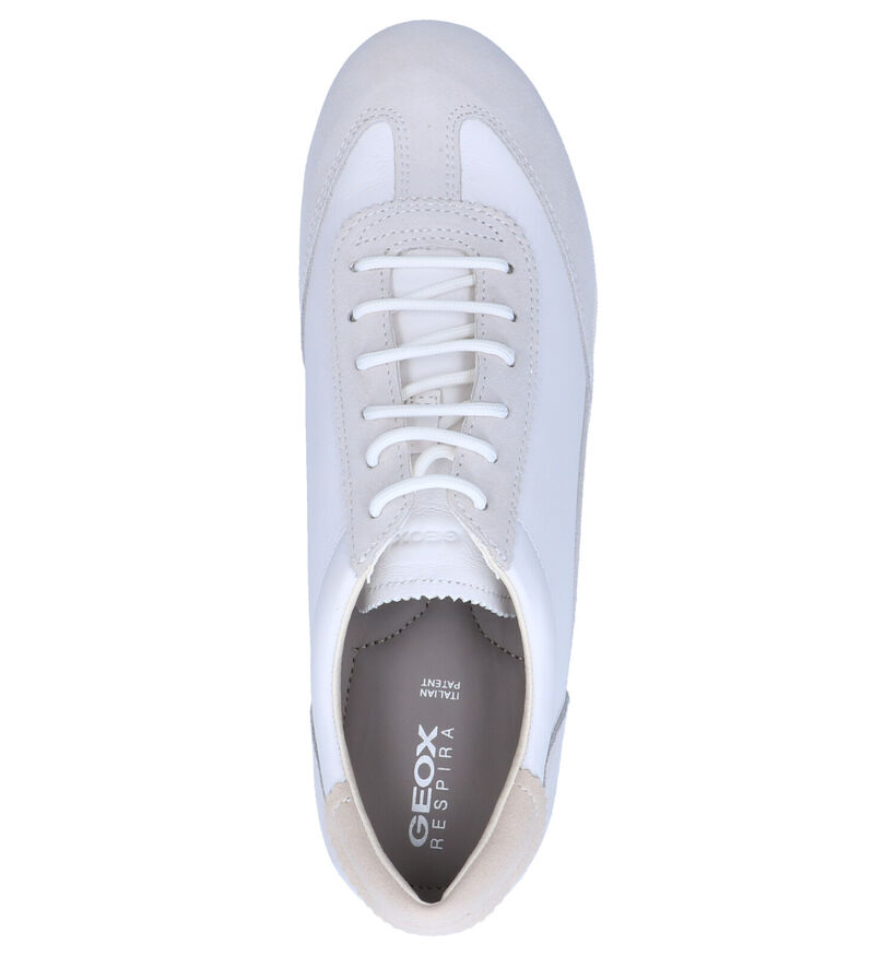 Geox Vega Witte Veterschoenen in daim (266857)