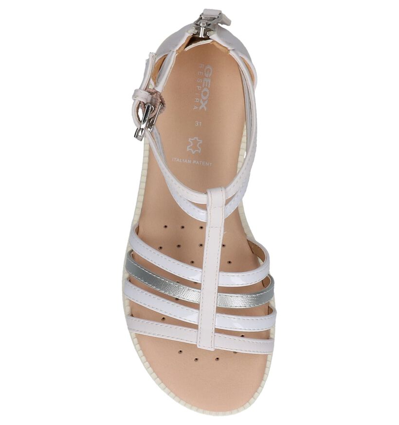 Geox Sandales en Beige en simili cuir (267454)