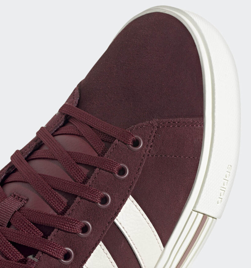 adidas Daily 4.0 Baskets en Bordeaux pour hommes (359505) - pour semelles orthopédiques