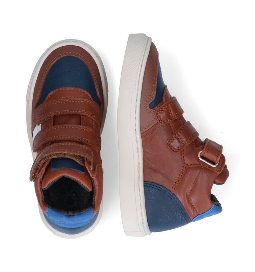 CKS Club Cognac Bottines in leer (316766)