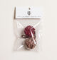 Laurent David Shoe Charms en Bordeaux/Taupe pour femmes, filles (382169)