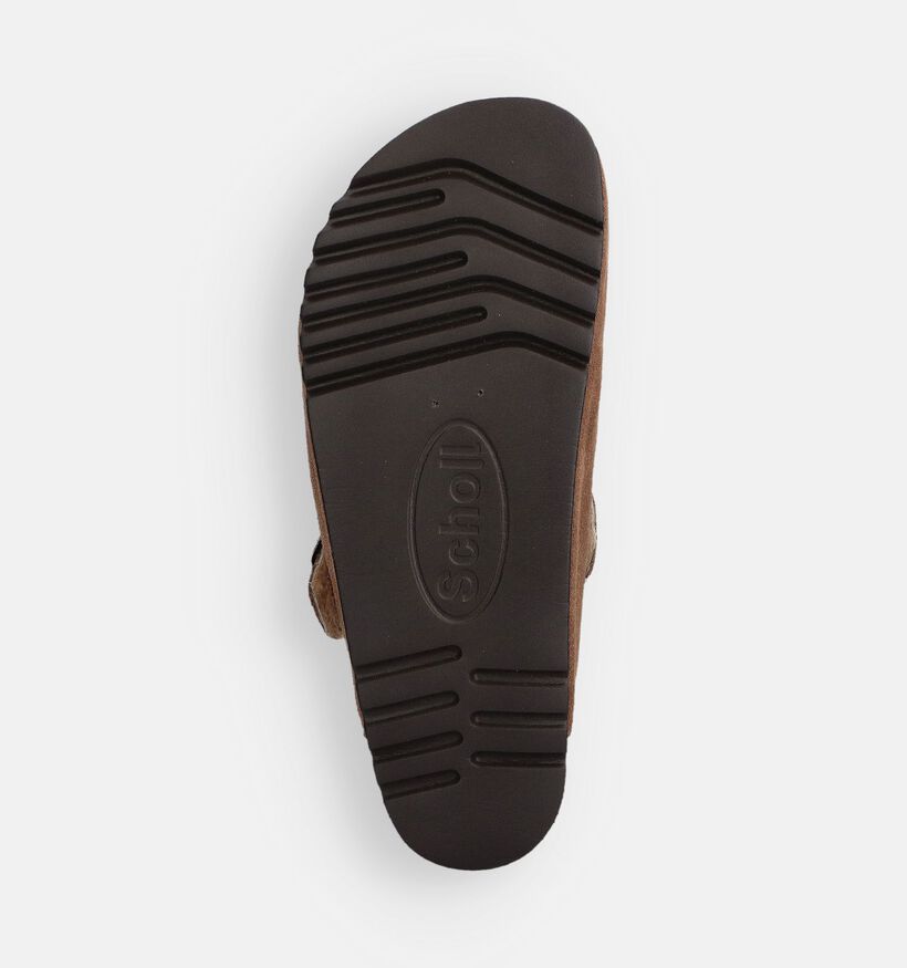 Scholl Olivier Fur Nu-pieds en Marron pour hommes (370632)