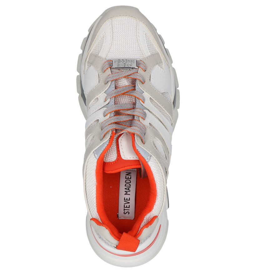 Steve Madden Bronte Ecru Sneakers in kunstleer (256078)