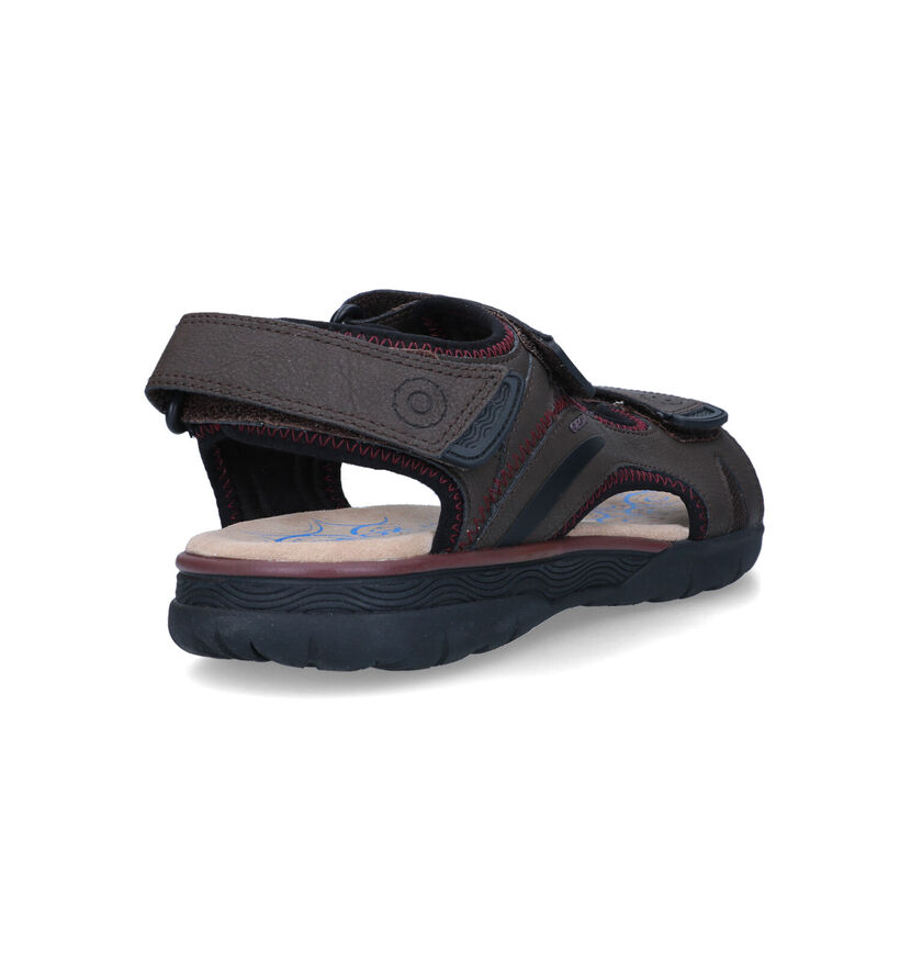 Geox Spherica Bruine Sandalen voor heren (322255)