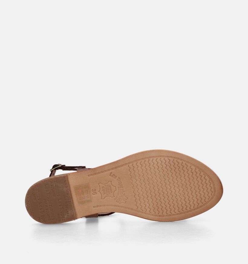 Les Tropeziennes Hamat Sandales en Bronze pour femmes (324761)