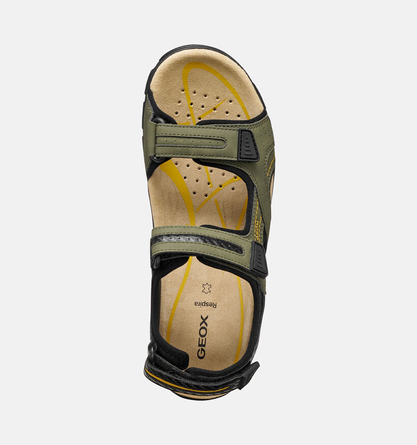Geox Kakigroene Sandalen voor heren (369126)