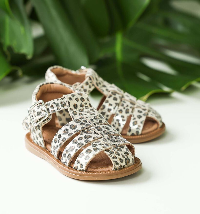 Westlake Baby Sandalen Bruin voor meisjes (356669)