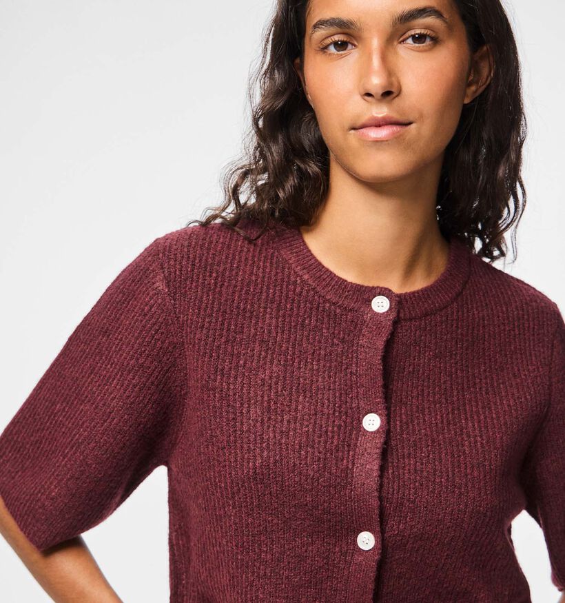 Pieces Silly Gilet en Bordeaux pour femmes (378371)