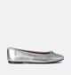 Geox Marsilea Zilveren Ballerina's voor dames (351683)