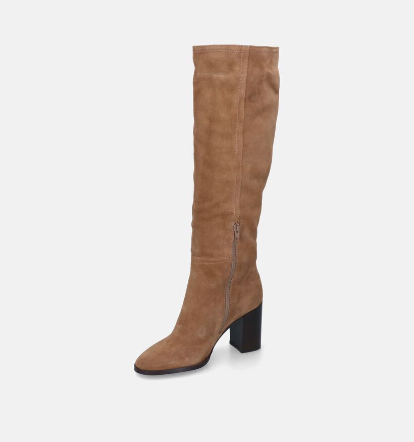 Signatur Bottes hautes en Camel pour femmes (314917)