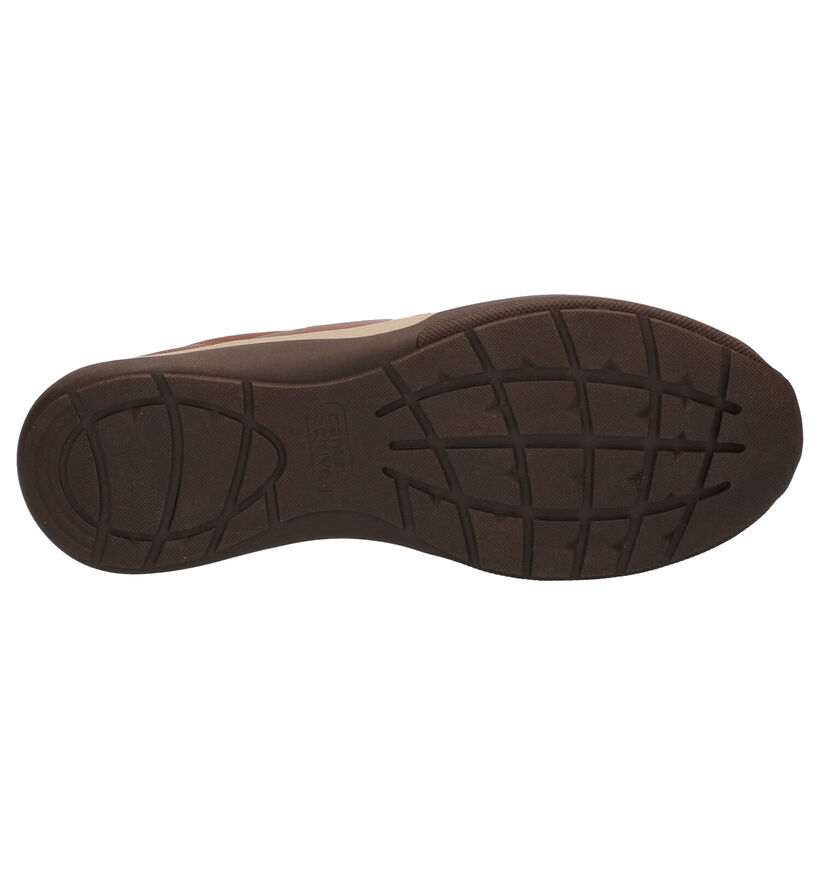 Camel Active Chaussures basses en Cognac en cuir (271300)