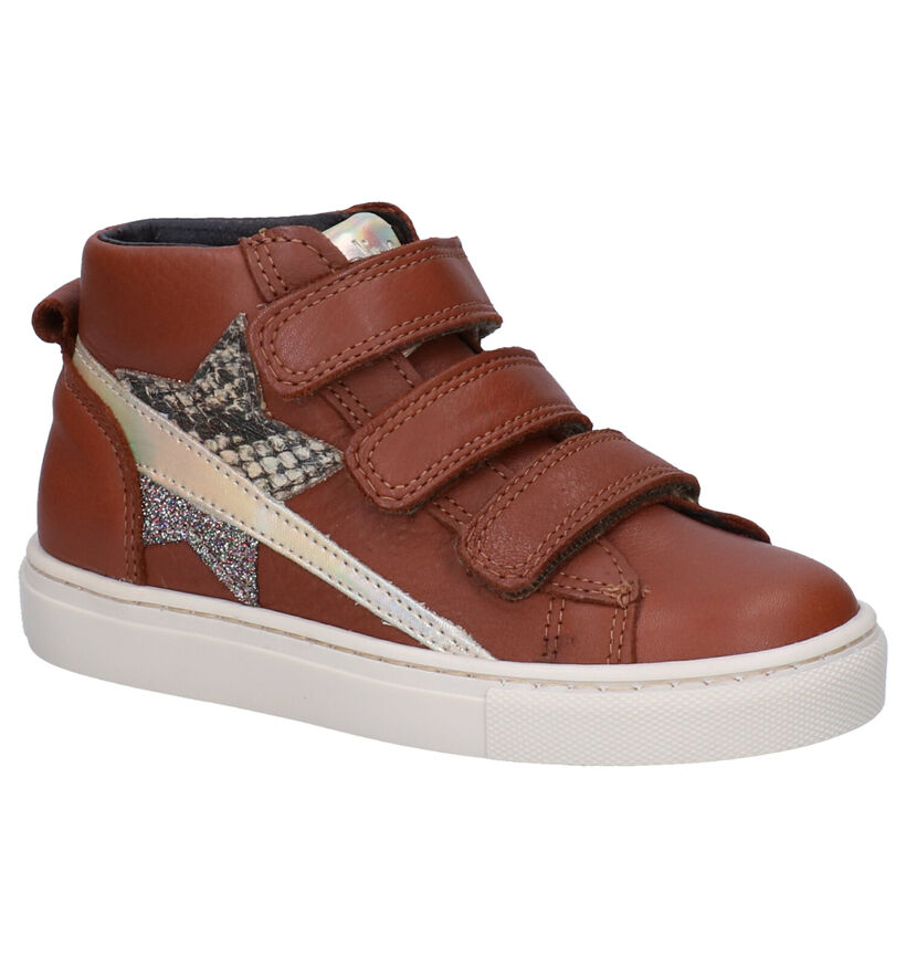 Kipling Febe Cognac Bottines in leer (298573)